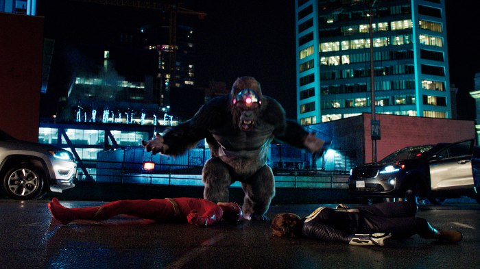 King Shark vs. Gorilla Grodd